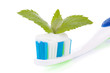 Toothbrush with toothpaste and fresh leaves of mint