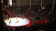 arena in Circus performance with seals and actor arena in Circus performance with seals and actor