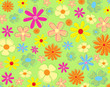 colorful flowers