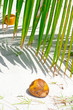 Foto: Holiday Paradise Holiday Paradise
