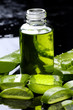 Spa still life- aloe with lotion-