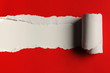 Ripped Paper