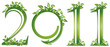 new year 2011