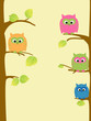 Cute owls
