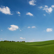 green landscape