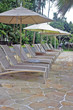 Pool deck chairs