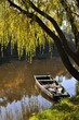 Wooden boat