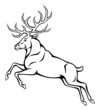 jumping deer