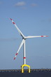 Offshore Windkraft