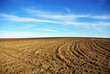 Texture of cultivated field.