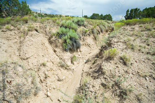 arroyo gully