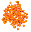 frozen sea buckthorn frozen sea buckthorn