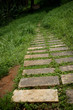 road in green field road in green field
