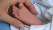 Video: Mother holding newborn baby feet and toes Mother holding newborn baby feet and toes