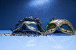 Two Venice carnival mask