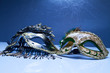 Two Venice carnival mask