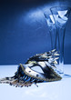 Venice carnival mask