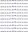 Background Illustration of marching ants