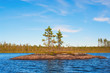 Island in the form of a smooth rock with several pines