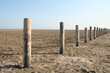 plage napoléon en camargue plage napoléon en camargue