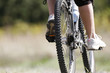 vtt