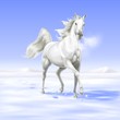 cavallo sulla neve