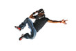 Hip Hop Dancer Jumping Hip Hop Dancer Jumping