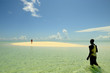 Zanzibar sea and beach Zanzibar sea and beach