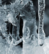 Eismonster