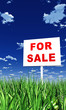 Schild im Gras - For Sale 02