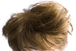 Haar