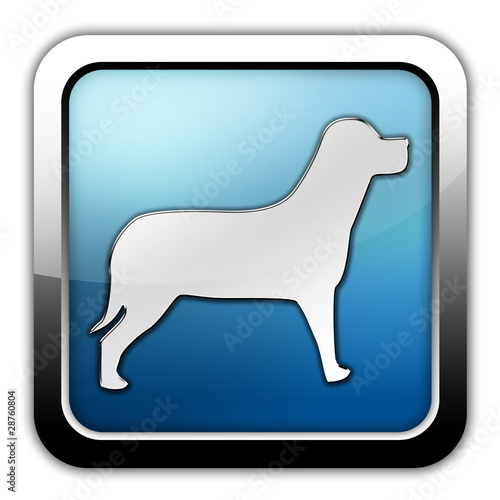 Illustration: Glossy Square Icon "Dog / K9 / Canine" Glossy Square Icon "Dog / K9 / Canine"