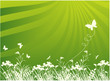 green background with nature