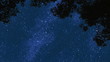 Night Stars 1