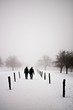 Walking into the fog