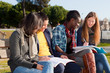 College Students Studying Together at Park College Students Studying Together at Park