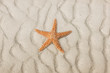 Starfish on a tropical beach