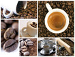 Coffee collage Coffee collage