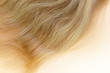 Haare, Konzept
