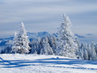 Winter in the alps