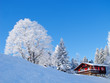 Winter holiday house