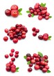 Collage from cranberry