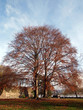Bonn am Rhein