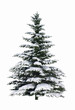 Weihnachtsbaum