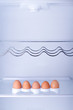 Inside the fridge