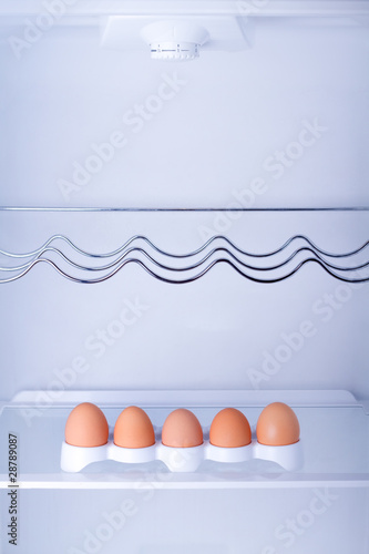 Photo: Inside the fridge Inside the fridge
