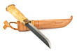 Knife and sheath over white Knife and sheath over white