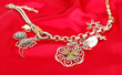 Silver necklace  on the red silk
