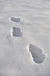 Pas dans la neige