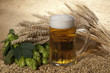 beer with barley and hop